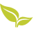 Thymeleaf